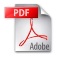 icone pdf L